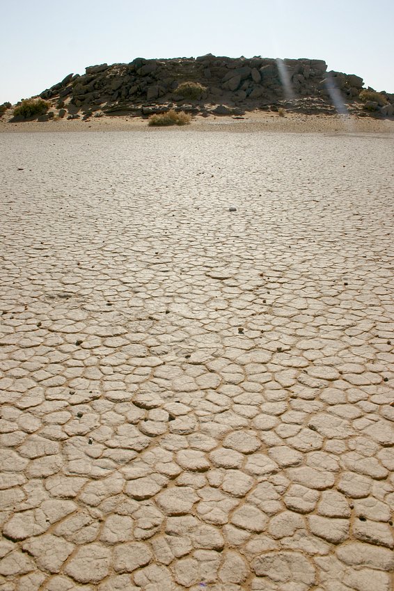 The dried up pond