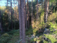 #11: CP at a distance of approx. 30 meters