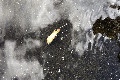57°N 16°E preview image