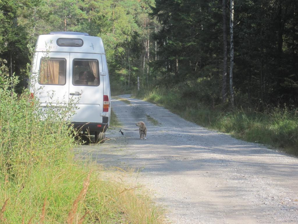 parking in side road