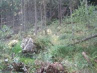 #3: Süden; view south