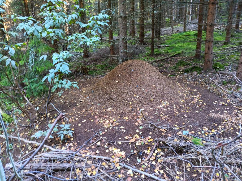 visitors apart me at CP