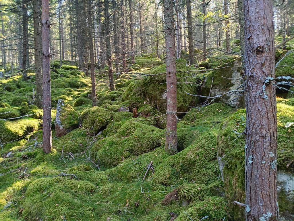 S&uuml;den; view south