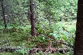 59°N 12°E preview image