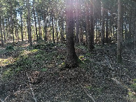 #3: Süden; view south