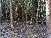 #4: Westen; view west