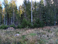 #2: Osten; view east