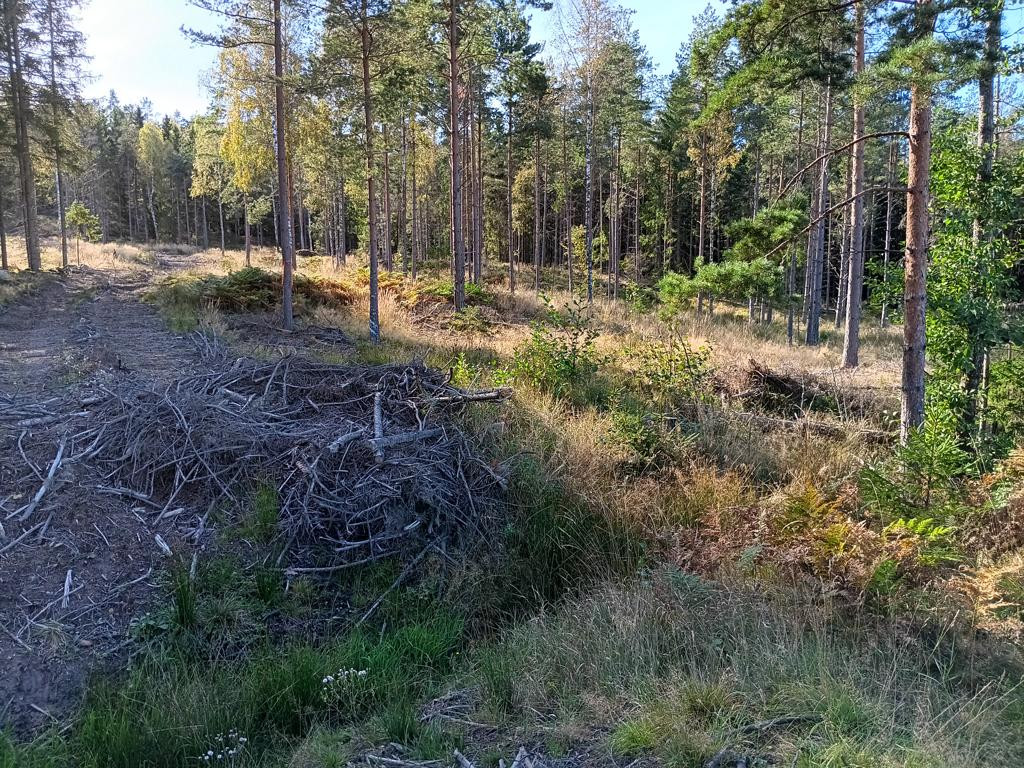 CP at a distance of approx. 15 meters