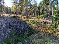 #9: CP at a distance of approx. 15 meters