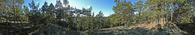 #5: 360-degree panorama from the top of the hill, about 20 m from the point