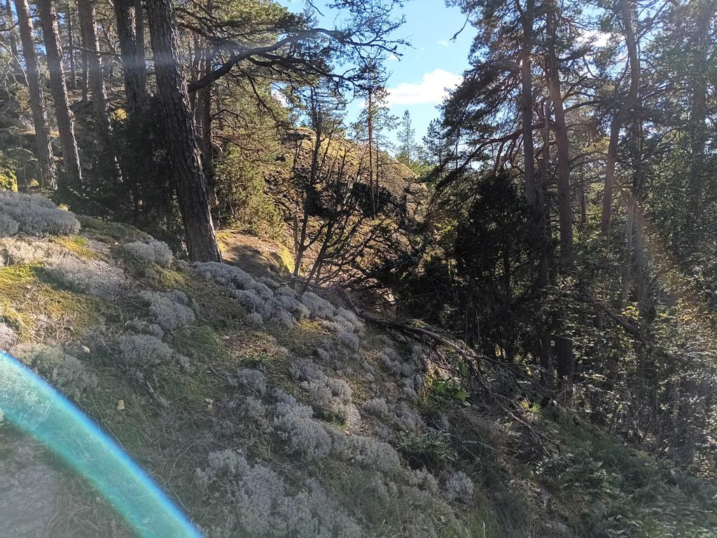 S&uuml;den; view south