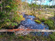 #10: creek II leaving