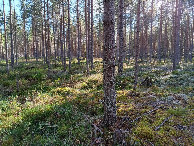 #3: Süden; view south