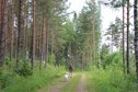 #7: Forest track, 700 m from the CP