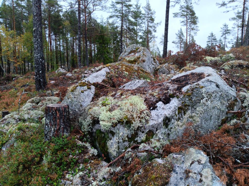 Osten; view east