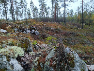 #3: Süden; view south