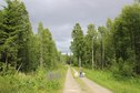 #6: Forest track, 1 km from the CP