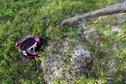 #8: This rucksack, compass, and GPS have been with me on all my 50+ confluence visits