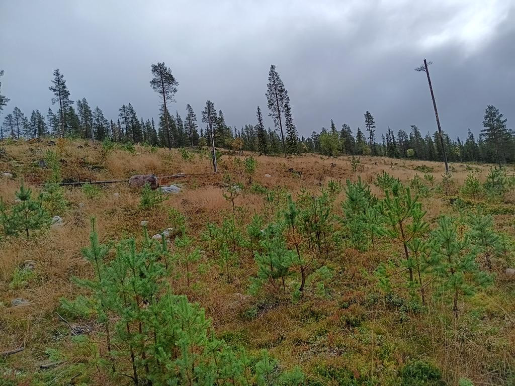 way up to CP, distance approx 300 meters