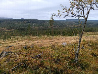 #10: downhill at ridge on way back