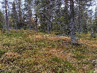 #3: Süden; view south