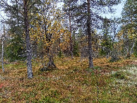 #4: Westen; view west