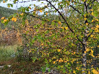 #2: Osten; view east