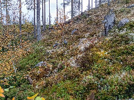 #3: Süden; view south