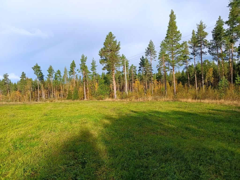 on meadow towards CP