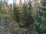 #2: Osten; view east