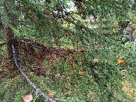 #4: Westen; view west