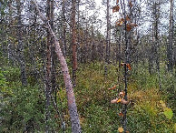 #3: Süden; view south