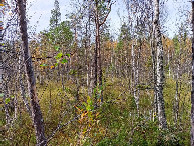 #4: Westen; view west