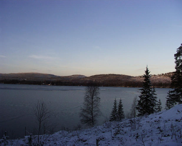 Lake Saltsjön, 40 meters west of the confluence