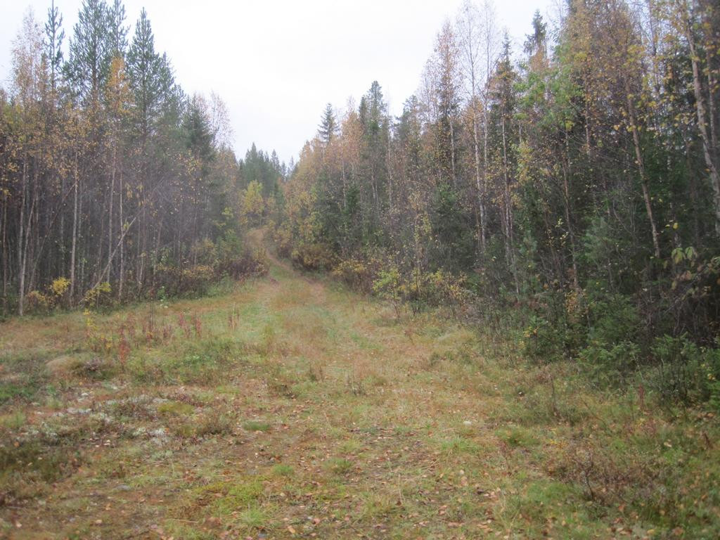 turning area; view track to campingcar