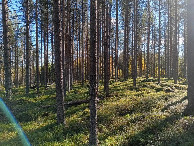 #2: Osten; view east