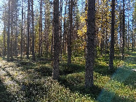 #3: S&uuml;den; view south