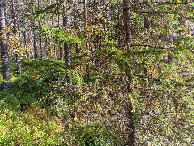 #2: Osten; view east