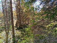 #3: Süden; view south