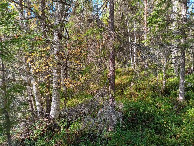 #4: Westen; view west