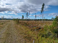 #8: track towards CP