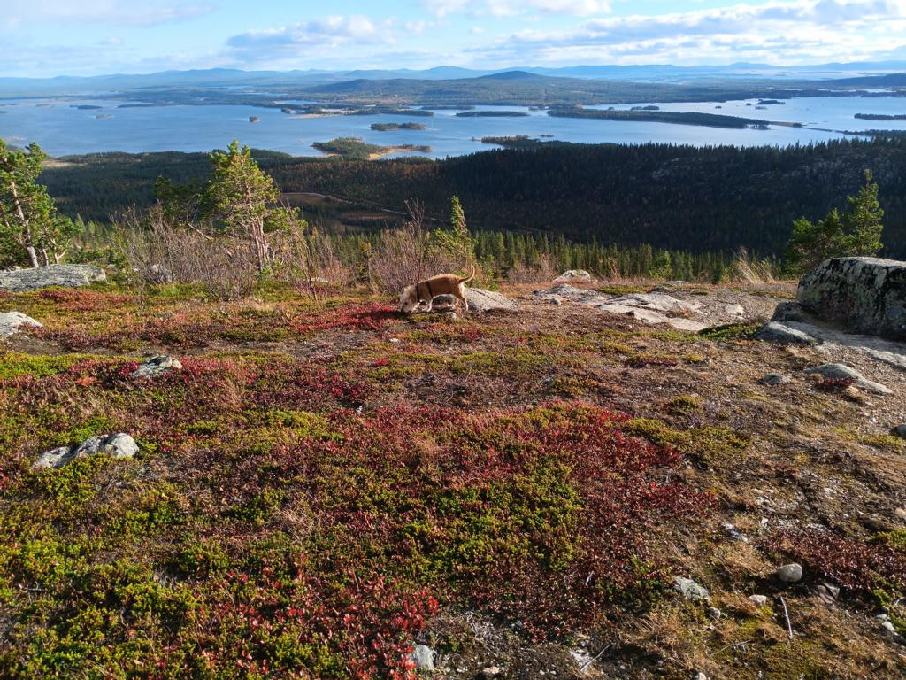 view from Galtispuoda with CP in 13 km distance