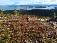 #9: view from Galtispuoda with CP in 13 km distance