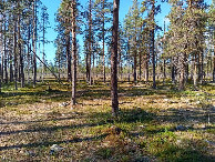 #4: Westen; view west