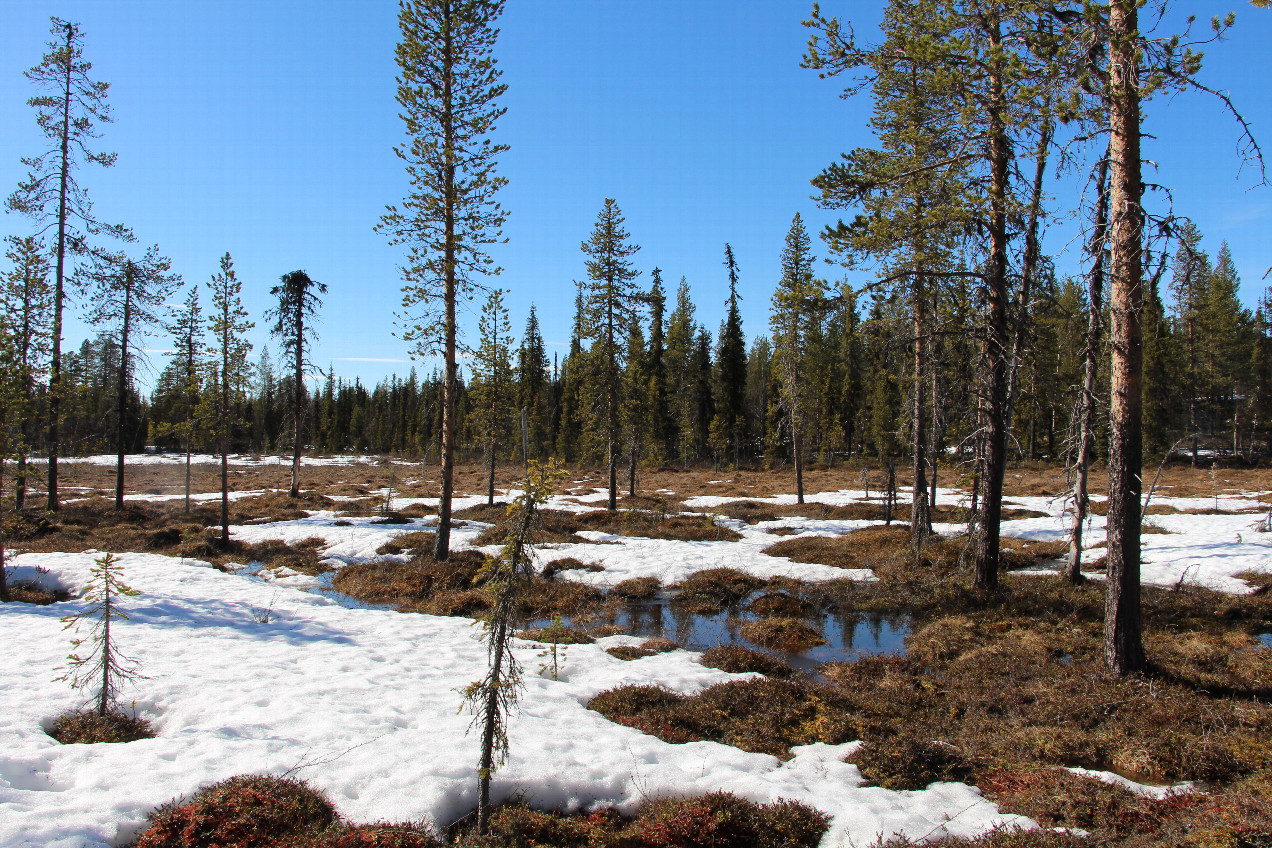 General view of the CP from ~100m distance