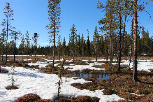 #1: General view of the CP from ~100m distance