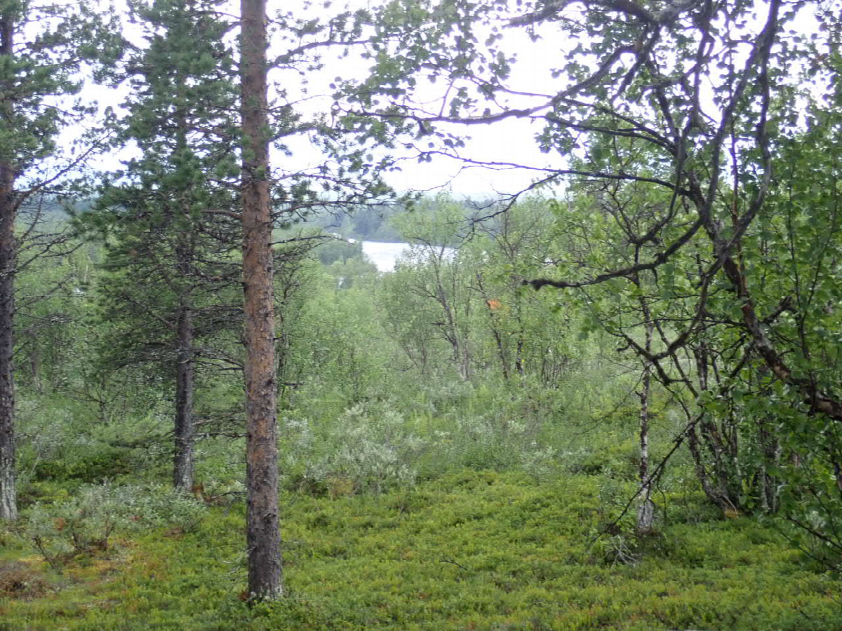 400 Meters bevor Rautas River crossing / Noch 400 Meter zum Ufer zurück