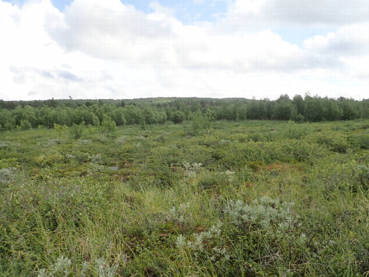 North view / Nördliche Sicht