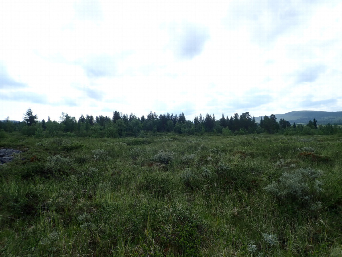 East view / Östliche Sicht