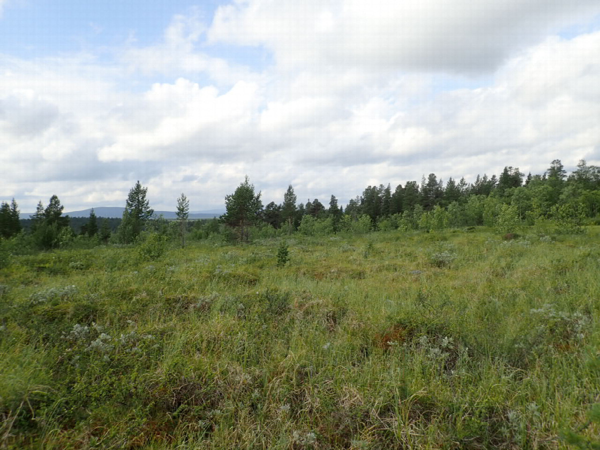 South view / Südliche Sicht